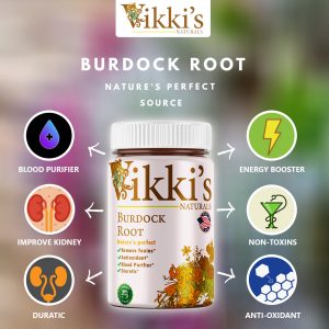 Vikki's Naturals -infographic Burdock root